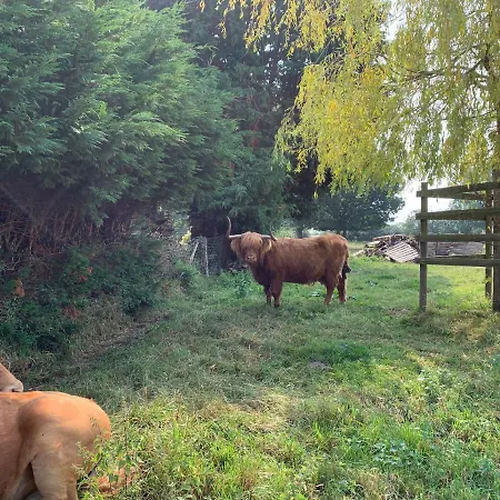 Lejlighed Morgan