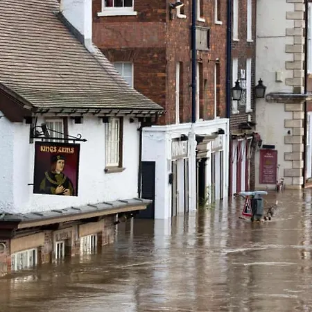 Morgan Lejlighed York